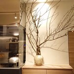 イル アオヤマ - 