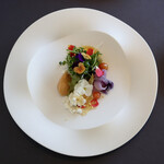 プレゼンテ スギ - サラダ