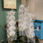 對馬流 南インド系辛口料理店 タリカロ - 