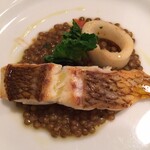 La Cucina Italiana Rustica - 特選コースのメイン(魚料理)
                        真鯛のソテーとレンズ豆とイカ