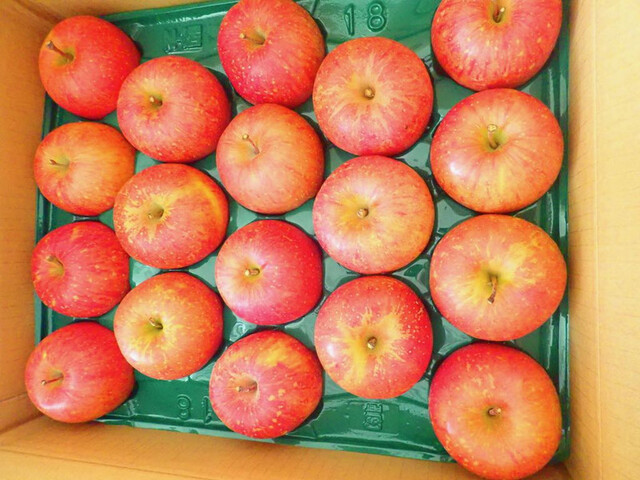 高長商店 - 仙台市泉区その他（その他）の写真