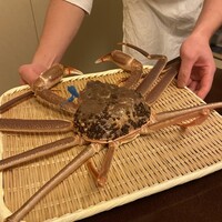 吉星 - 