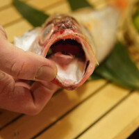 のどぐろ専門 銀座 中俣 - 