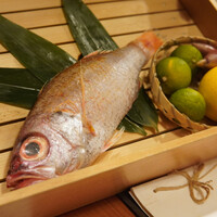 のどぐろ専門 銀座 中俣 - 