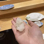 小松 弥助 - イカ♡