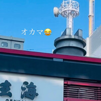 水たき玄海 本店 - 2丁目の向かい側の5丁目だけどオカマ