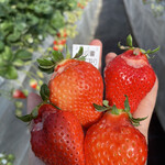 姫路ハートフル観光農園 - 