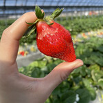 姫路ハートフル観光農園 - 