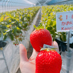 姫路ハートフル観光農園 - 