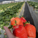 姫路ハートフル観光農園 - 