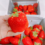 姫路ハートフル観光農園 - 