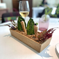 プレヴナンス - 