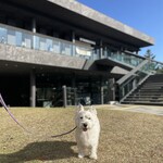 スターバックスコーヒー 奈良公園バスターミナル店 - 