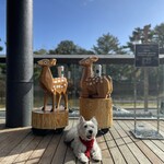 スターバックスコーヒー - 