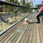 スターバックスコーヒー - 