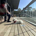 スターバックスコーヒー - 