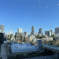 ＳＩＬＩＮ 火龍園 - 