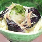 Fried eggplant grated udon