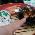 民宿海鳳 - 大きなムラサキウニ。まだ動いていました。