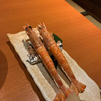 寅八商店 心斎橋店 - 