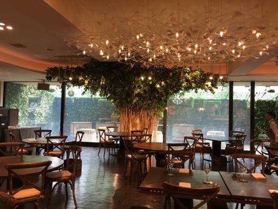 フランセスキッチン 西２８丁目 フレンチ ネット予約可 食べログ