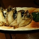 居酒屋 感 - 本日のオススメ「ノドグロの一夜干し」