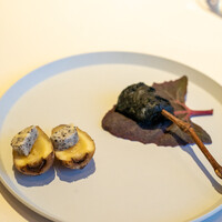 レストラン オオツ - 2021.2 セルフィーユの根っこ蒸し焼き トリュフバター、三浦半島長谷川さんのアオリイカ（活〆神経抜き）竹炭フリット