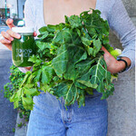 Tokyo Juice - グリーンのお野菜たち！！