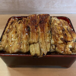 Unagi Irokawa - 