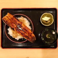 福乃城 - 鰻1尾 特上うな丼1,900円(平日昼限定 通常3,800円)