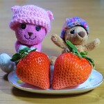 イタリア料理 アチェルボ - 5㌢以上あるいちご