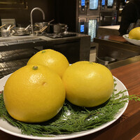 スガラボヴィー - 