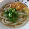 根ッ子うどん