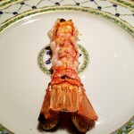 蒼 - さかな人長谷川さん 長井の巨大赤座海老。もう何も言えないパーフェクトな赤座。皆様に召し上がっていただきたい!!!!