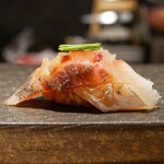 鮨仙酢 本店 - ☆鯵!(^^)!☆