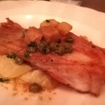 organ - 上に載っているのはクルトン