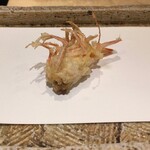 日本橋 蕎ノ字 - 車えび 頭 1