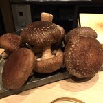 日本橋 蕎ノ字 - 玉取茸