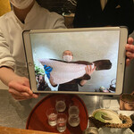 初音鮨 - クエ全体写真