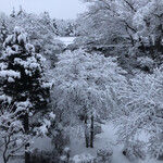 万平ホテル - おはようございます。