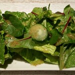 UMAMI BURGER - グリーンサラダも、シャキシャキで丁寧なつくり