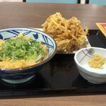 Marugame Seimen Kate Purishin Sapporo Ten - 