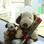 レストラン シャンボール(リーガロイヤルホテル大阪) - そこに、サプライズが！実は今日はつぬっこちゃんのお誕生日だったのです。ボーイさんがお花を持ってきてくれたの。きれいなバラの花をもらって、感激するボキ。