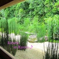 菊乃井 本店 - 