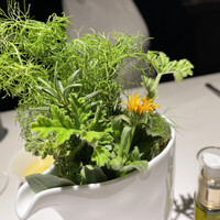 レスピラシオン - 