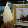 富士ミルクランド ジェラート工房