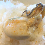 カルビ丼とスン豆腐専門店 韓丼 - 牡蠣