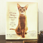 ブック＆カフェ喫茶去 - 