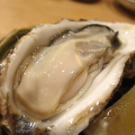 すし屋 真魚 - 昆布森の牡蠣