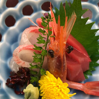 荒井屋 万國橋店 - 【’20.8】お刺身